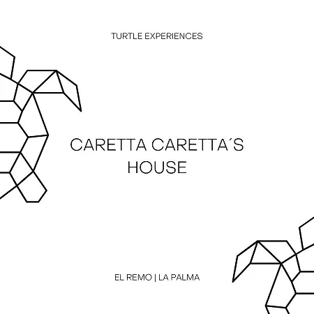 Apartment Caretta Caretta's House Los Llanos De Aridane